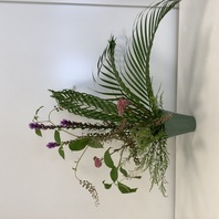 アレカヤシのアレンジと多肉植物